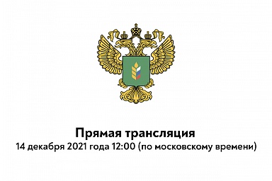 Выступление Дмитрия Патрушева на «правительственном часе» в Госдуме