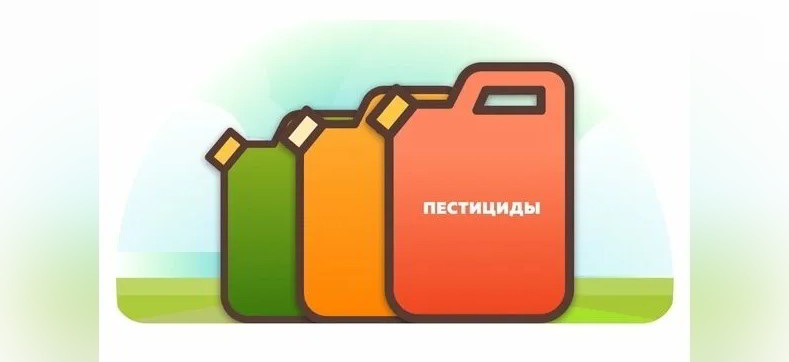 Напоминаем о правилах сбора и утилизации тары из-под пестицидов