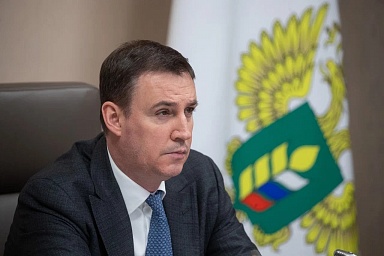 Минсельхоз России прорабатывает дополнительные меры поддержки производителей хлеба и молока
